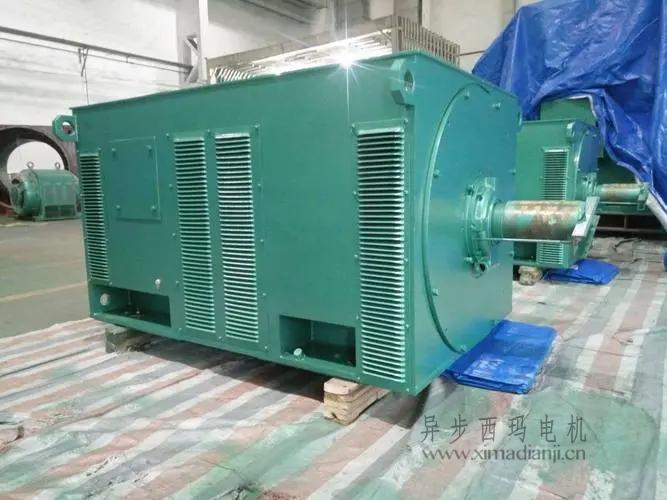 西瑪電機(jī)Y5603-10 560KW <a href=http://anquan0755.com/new/new-47-621.html target='_blank'><a href=http://anquan0755.com/new_tags_225.html target='_blank'>10kv高壓電機(jī)</a></a>