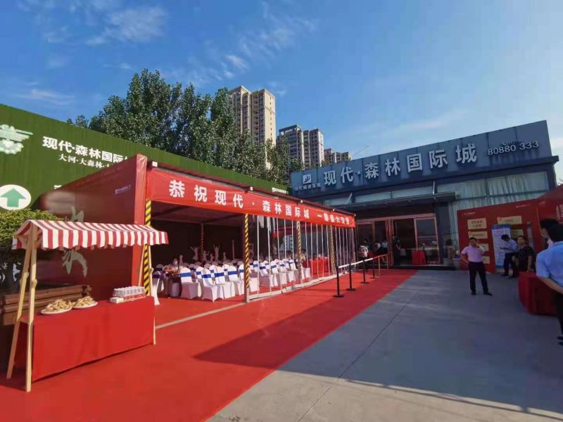 新安縣現(xiàn)代·森林國(guó)際城交房活動(dòng)
